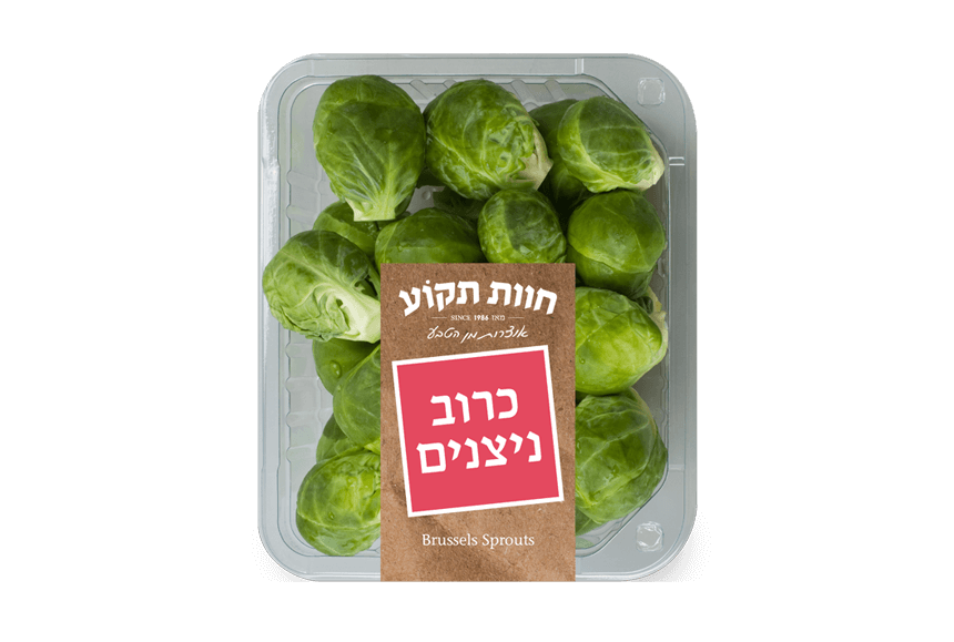 כרוב ניצנים טרי של חוות תקוע