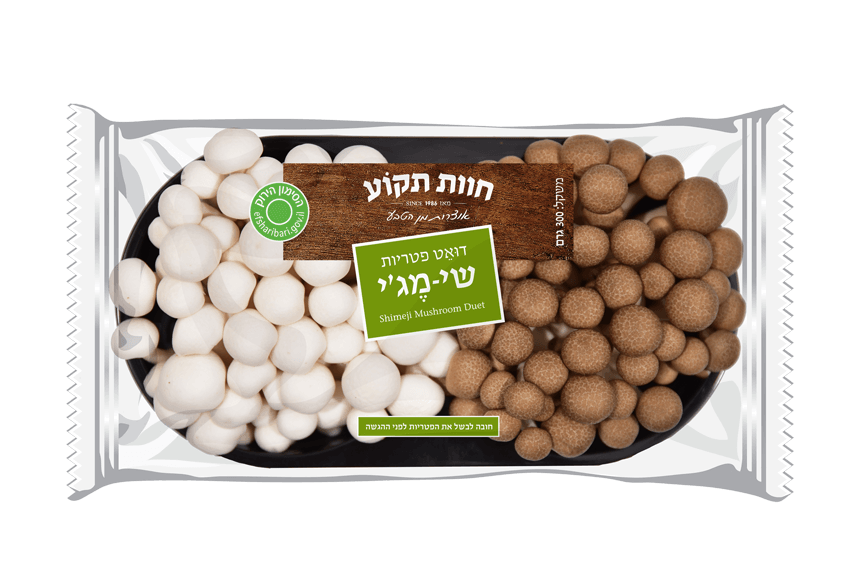 דוּאֵט פטריות שי-מג'י